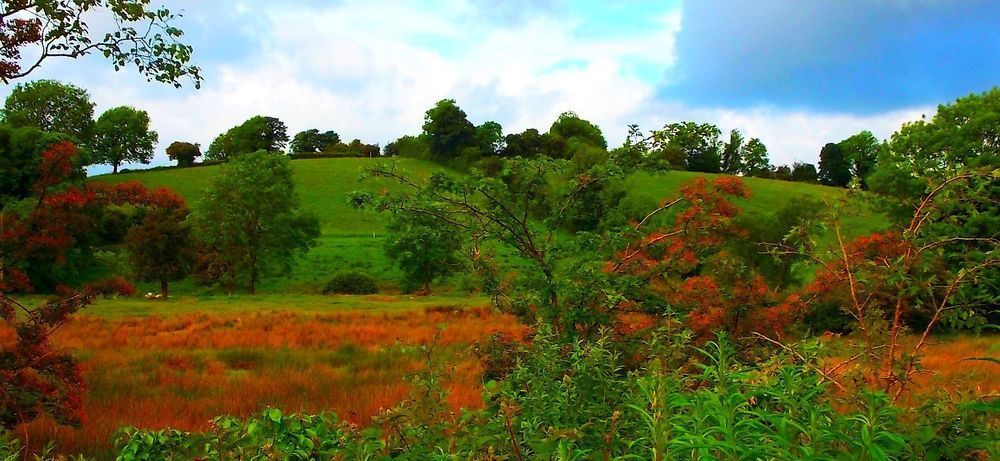 Fortview House Redhills エクステリア 写真